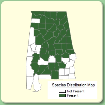 Species Distribution Map