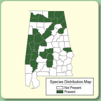 Species Distribution Map