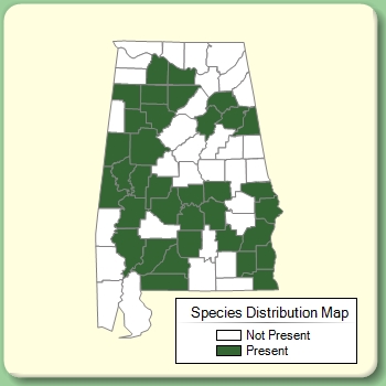 Species Distribution Map