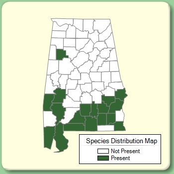 Species Distribution Map