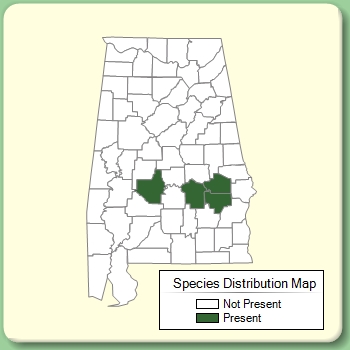 Species Distribution Map