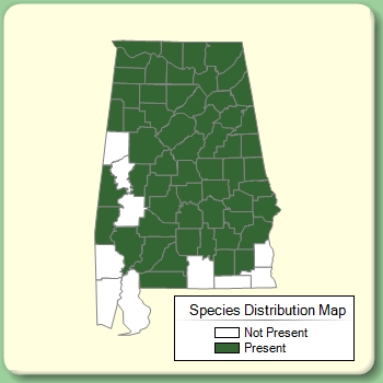 Species Distribution Map