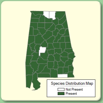 Species Distribution Map