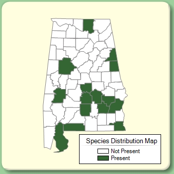 Species Distribution Map