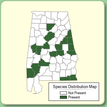 Species Distribution Map