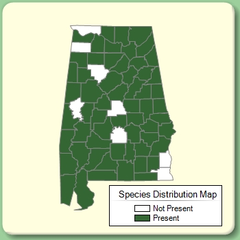 Species Distribution Map