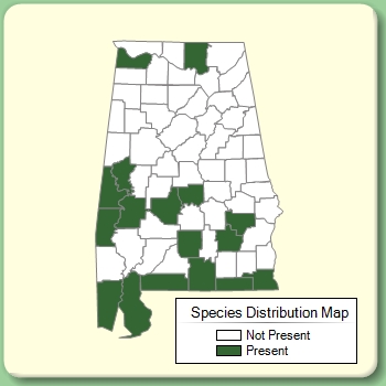 Species Distribution Map