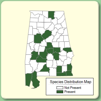 Species Distribution Map