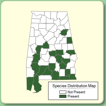 Species Distribution Map