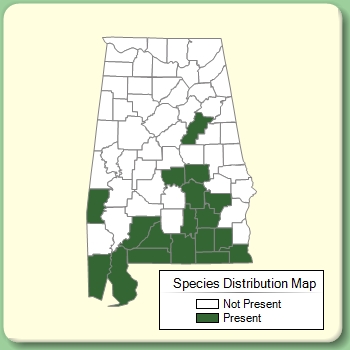 Species Distribution Map