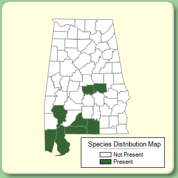 Species Distribution Map