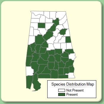 Species Distribution Map