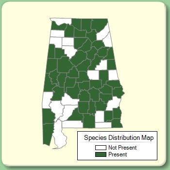 Species Distribution Map