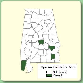 Species Distribution Map