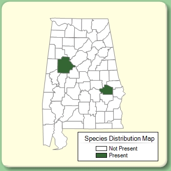 Species Distribution Map