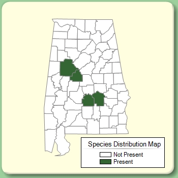 Species Distribution Map