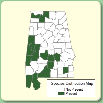 Species Distribution Map