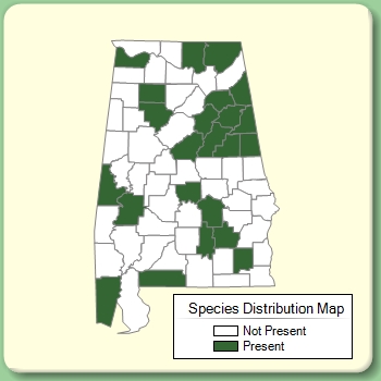 Species Distribution Map