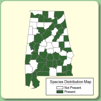 Species Distribution Map