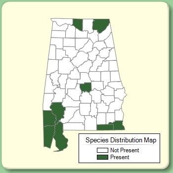 Species Distribution Map