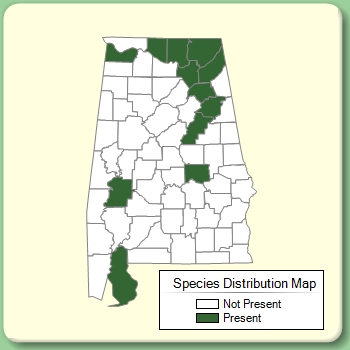 Species Distribution Map