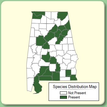 Species Distribution Map