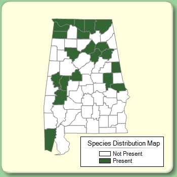 Species Distribution Map