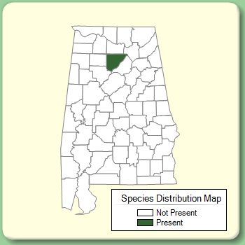 Species Distribution Map