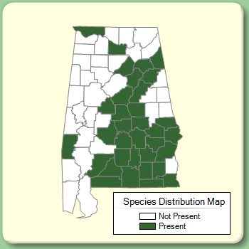 Species Distribution Map