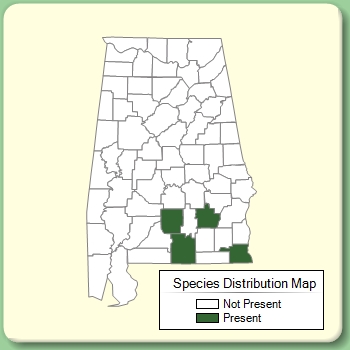 Species Distribution Map