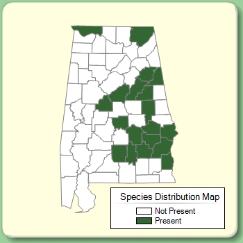 Species Distribution Map