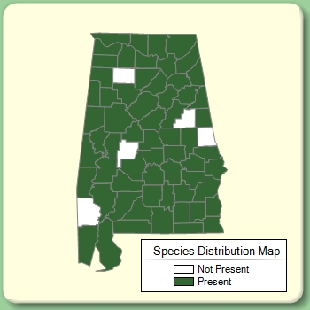 Species Distribution Map