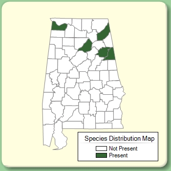 Species Distribution Map