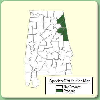 Species Distribution Map