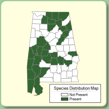 Species Distribution Map