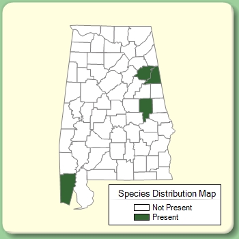 Species Distribution Map