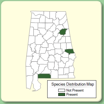 Species Distribution Map