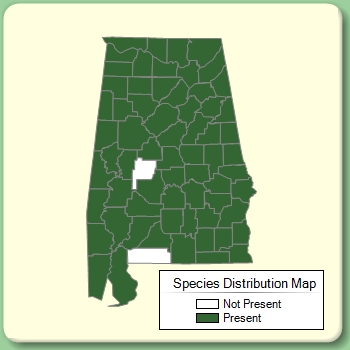 Species Distribution Map