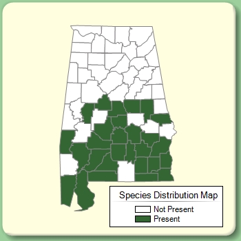 Species Distribution Map