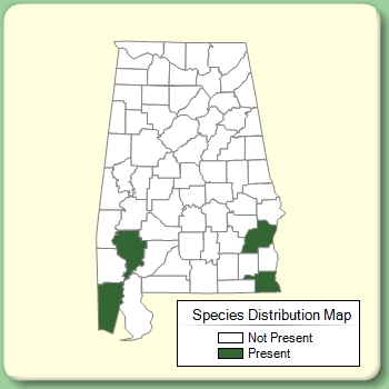 Species Distribution Map