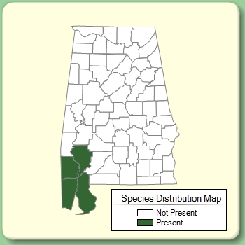 Species Distribution Map