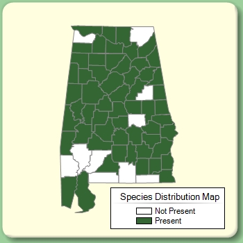 Species Distribution Map