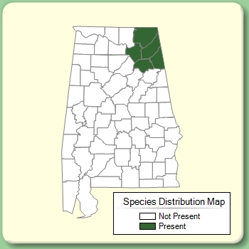 Species Distribution Map