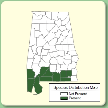 Species Distribution Map