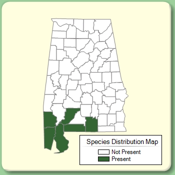 Species Distribution Map