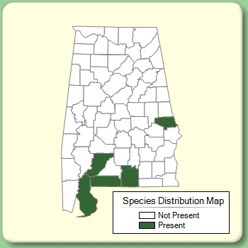 Species Distribution Map