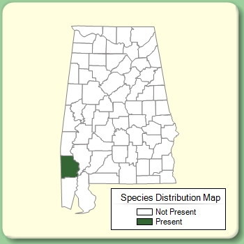 Species Distribution Map