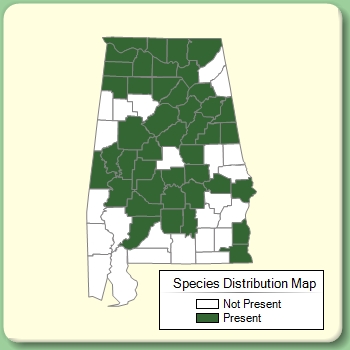 Species Distribution Map