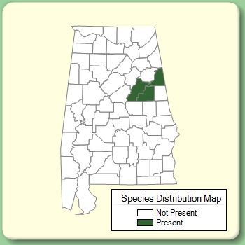 Species Distribution Map