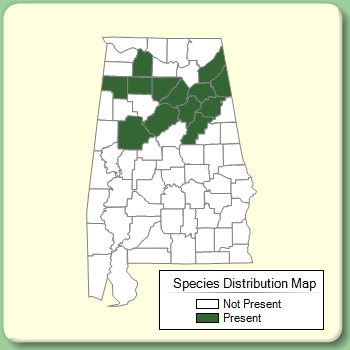 Species Distribution Map